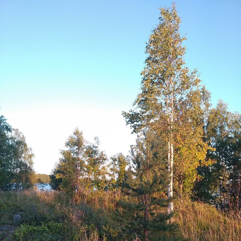 4. 800х800.jpg