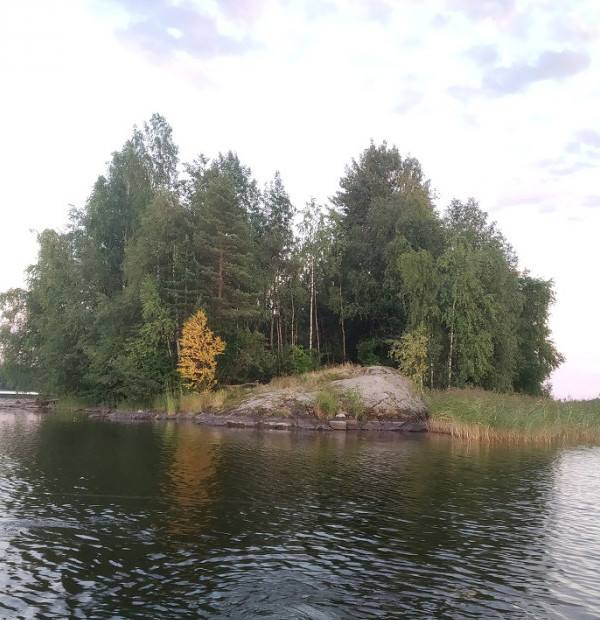 2. 800х800.JPG